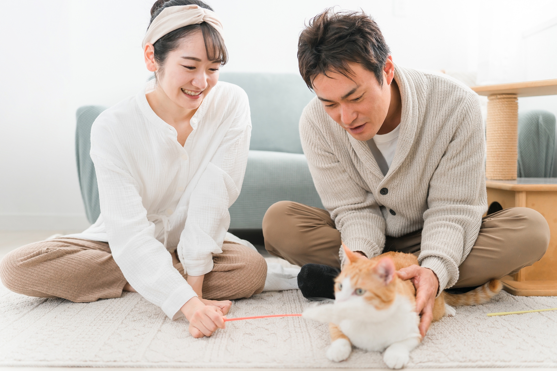 ペットの猫と遊ぶ若い夫婦の写真です