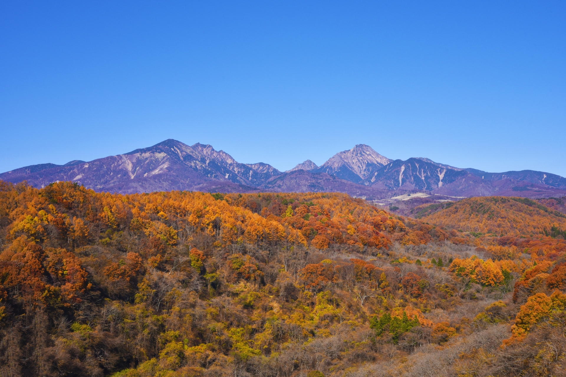 やつがたけと美しい紅葉