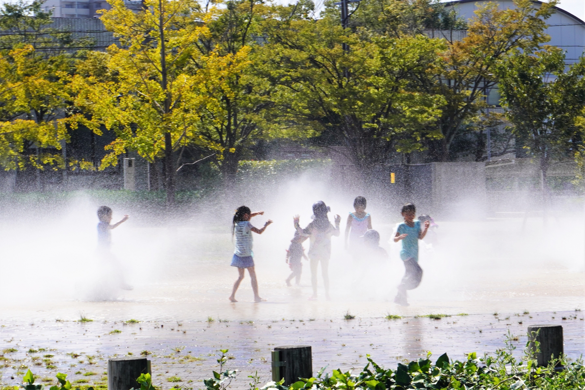 暑い中、公園にある噴水で水遊びを楽しむ子どもたちの写真です