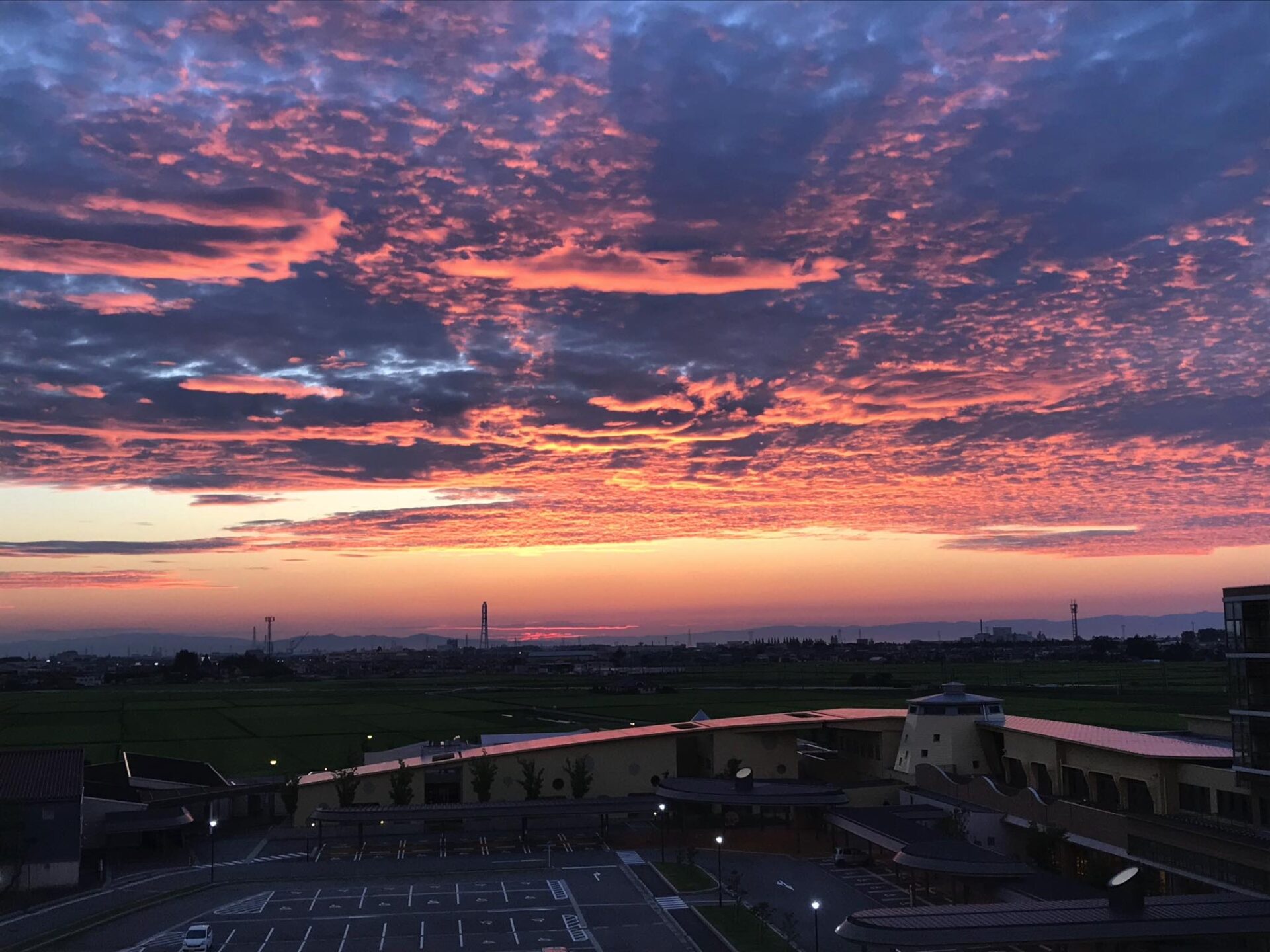 ５階の病棟から眺める夕暮れの写真。茜色とバイオレットに染まっているうろこ雲の空が、ドラマティックに迫っています