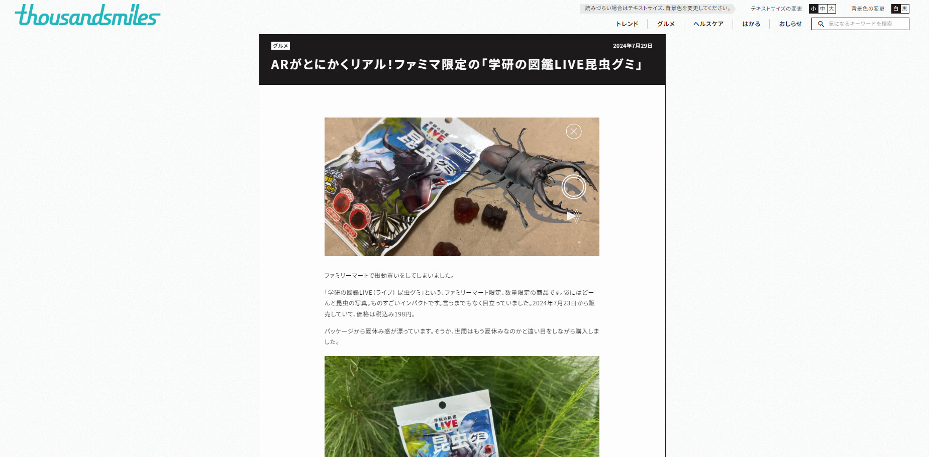 パソコンのデスクトップにサウザンスマイルズのウェブサイトをうつしたときの写真。映っている記事は、昆虫グミの紹介記事です